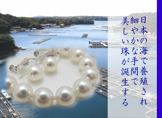 あこや真珠 あこや真珠