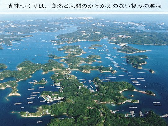 英虞湾 英虞湾